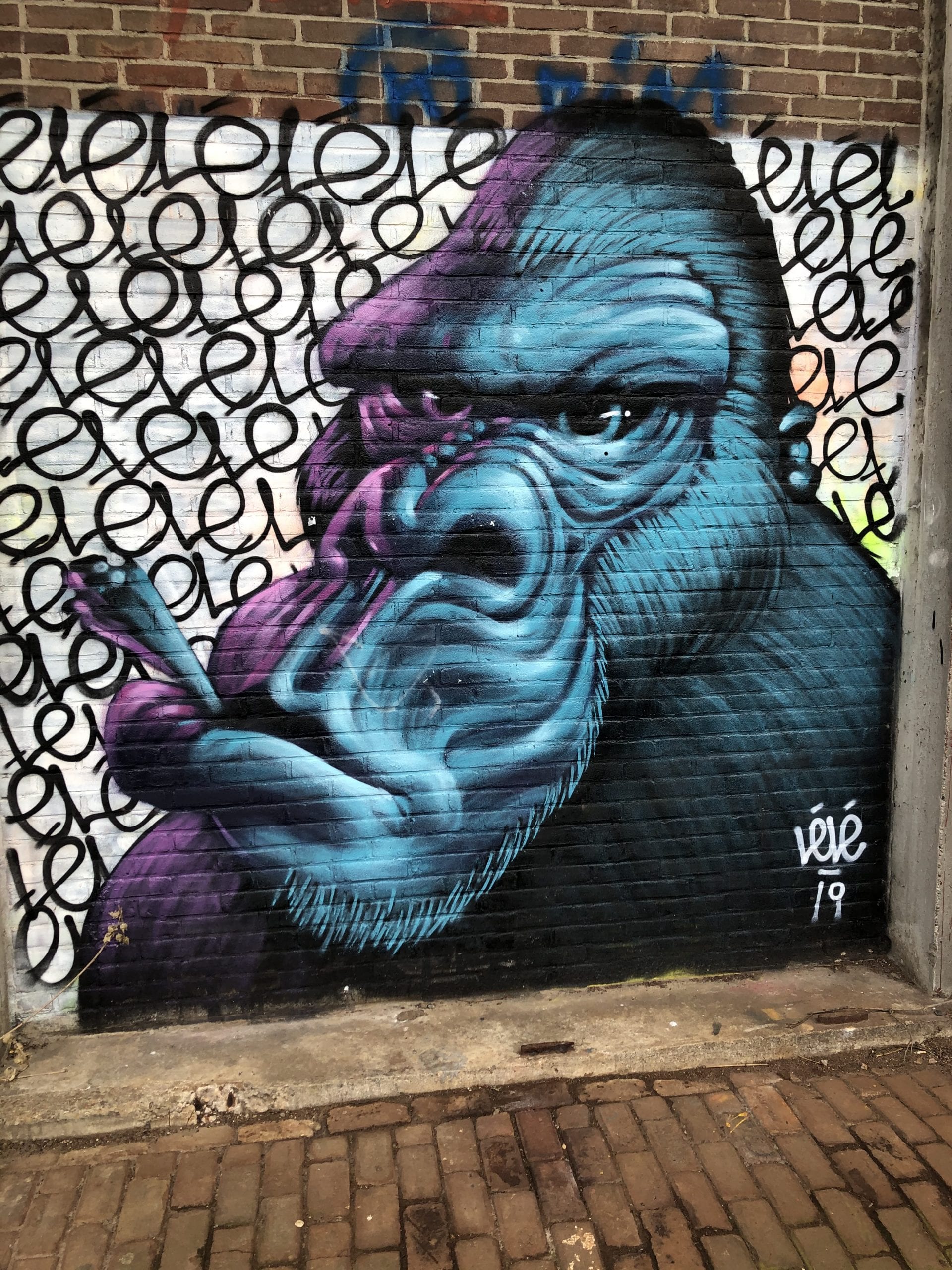 NDSM wharf graffiti mural of gorilla with a join