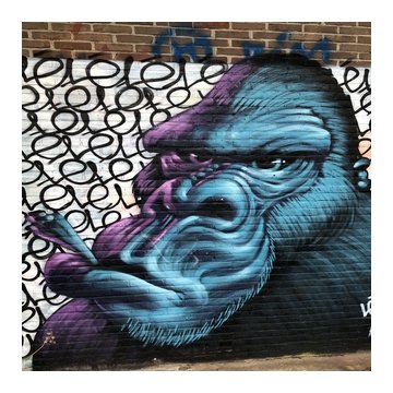 MOB_SLID_IMAGE_rsz_ndsm_wharf_graffiti_mural_of_gorilla_with_a_join__amsterdam_read_more